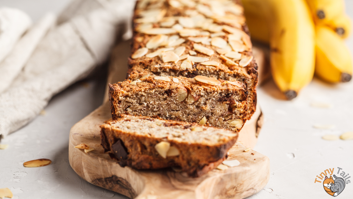 Can Cats Eat Banana Bread?