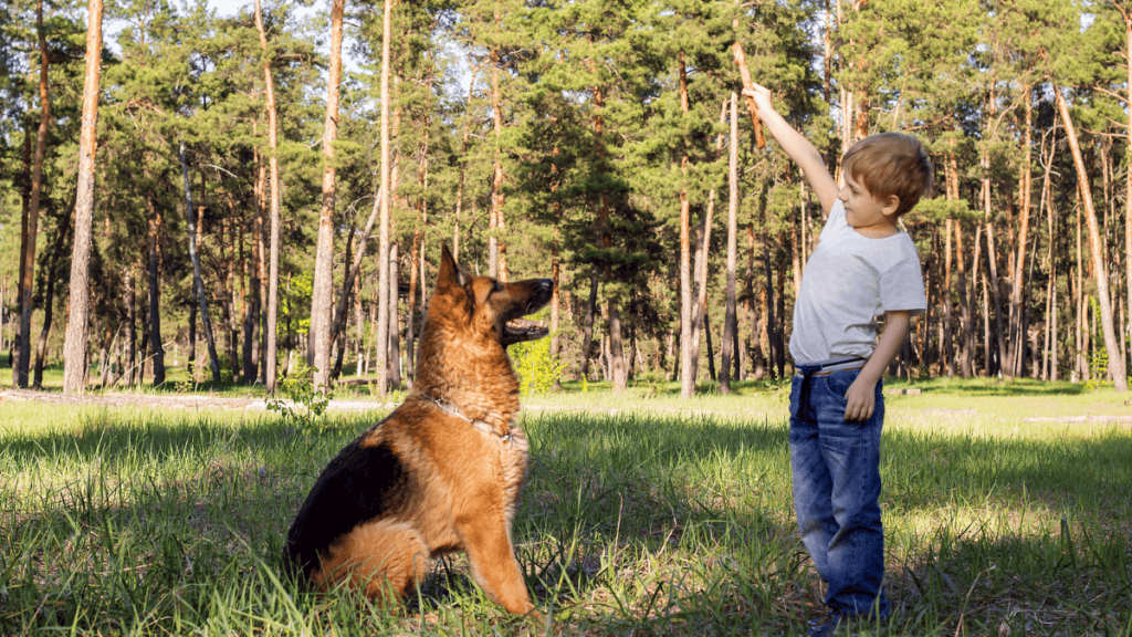 Are German Shepherds Good With Kids?