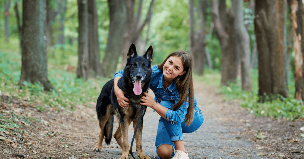 German Shepherd plays with kids safely