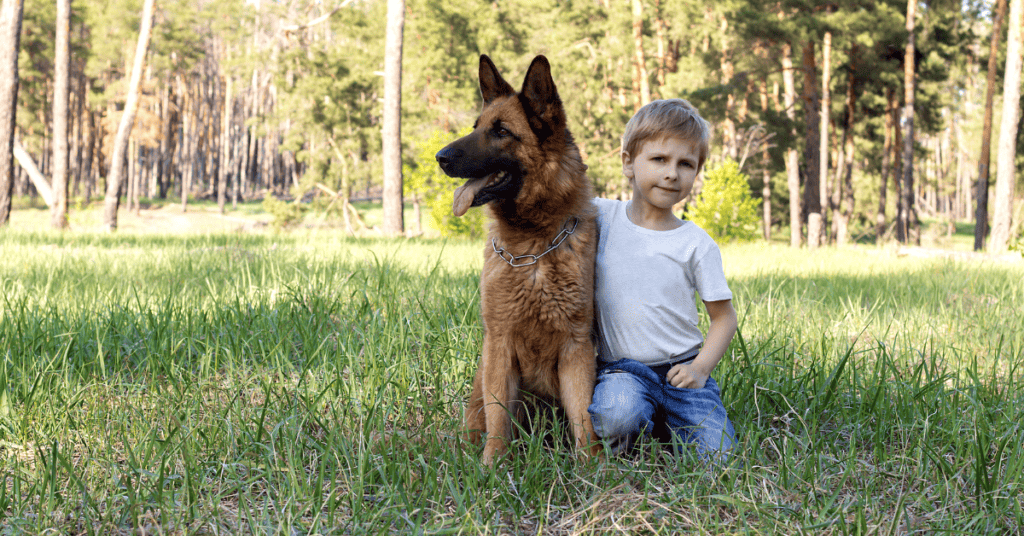 German Shepherd plays with children